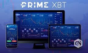 Comprehensive Insights and Reviews PrimeXBT