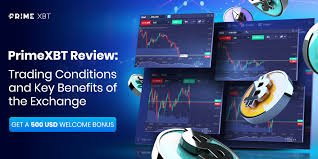 Comprehensive Insights and Reviews PrimeXBT